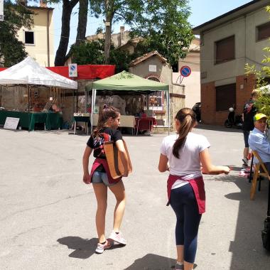 Img 20190609 132532 Img 20190609 132532